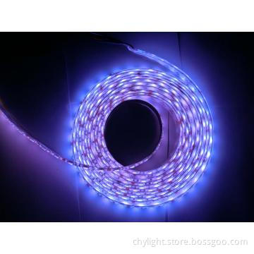 Waterproof LED Strip Light for Aquarium Decoration